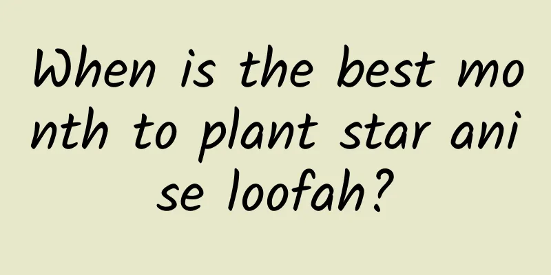 When is the best month to plant star anise loofah?
