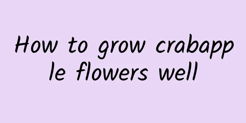 How to grow crabapple flowers well