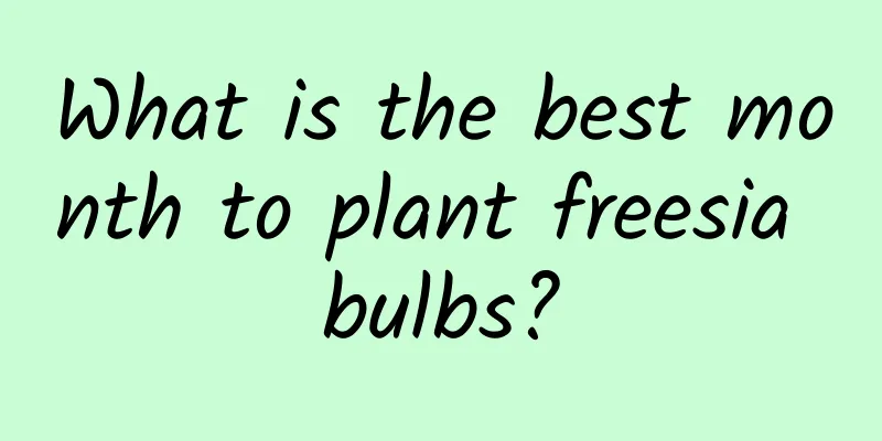 What is the best month to plant freesia bulbs?