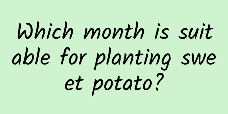 Which month is suitable for planting sweet potato?