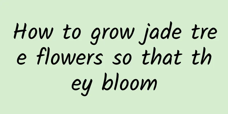 How to grow jade tree flowers so that they bloom