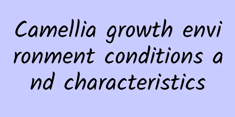 Camellia growth environment conditions and characteristics