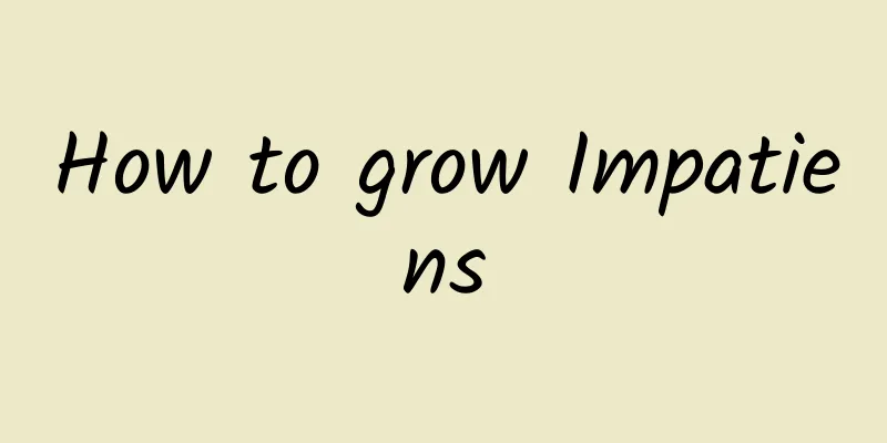 How to grow Impatiens