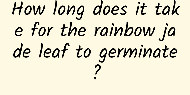 How long does it take for the rainbow jade leaf to germinate?