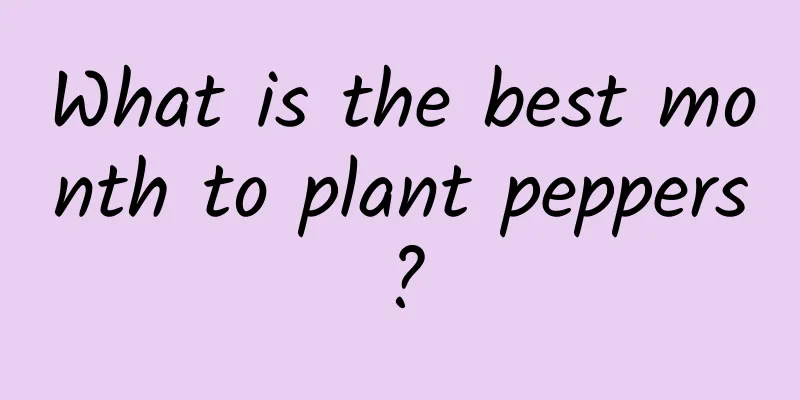 What is the best month to plant peppers?