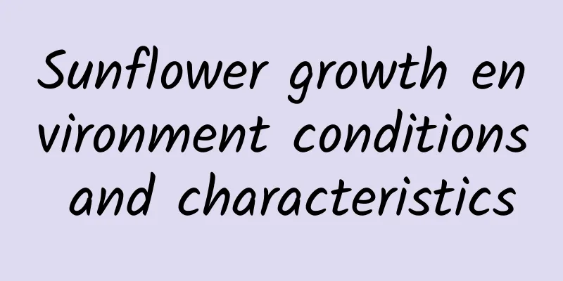 Sunflower growth environment conditions and characteristics