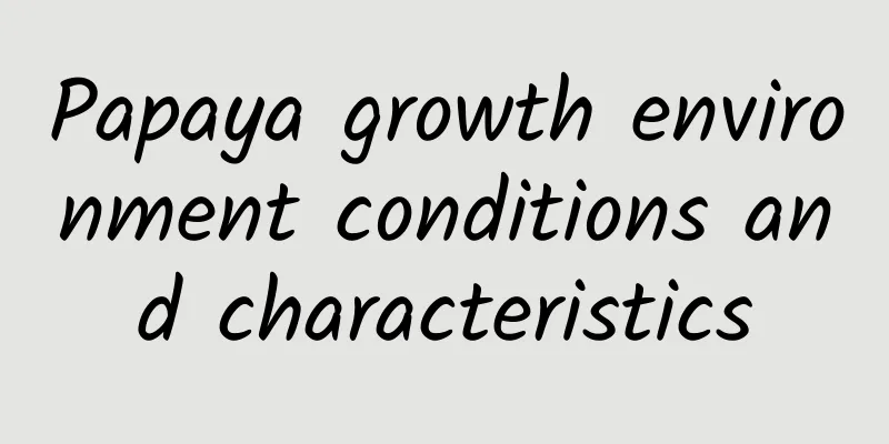 Papaya growth environment conditions and characteristics