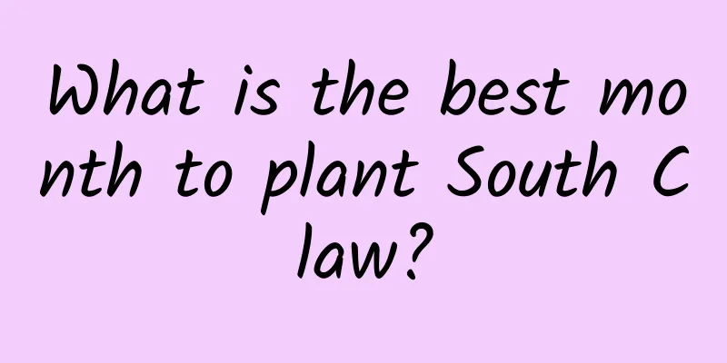 What is the best month to plant South Claw?