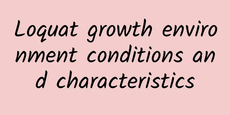 Loquat growth environment conditions and characteristics