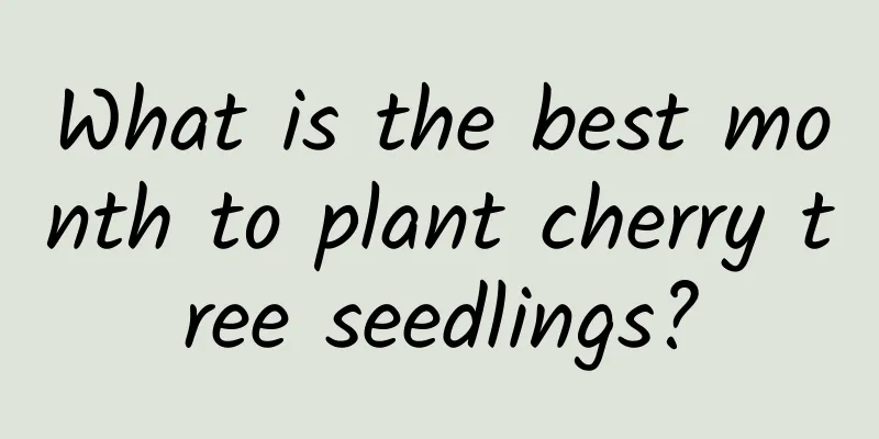 What is the best month to plant cherry tree seedlings?