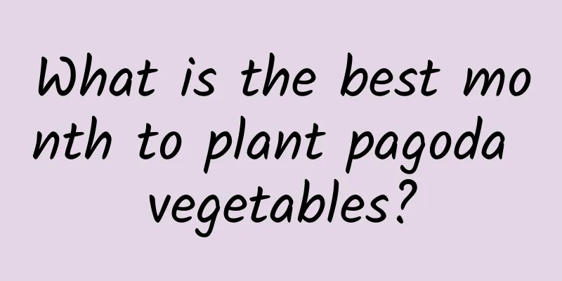 What is the best month to plant pagoda vegetables?