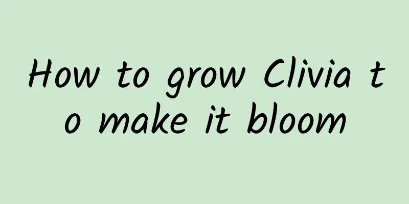 How to grow Clivia to make it bloom