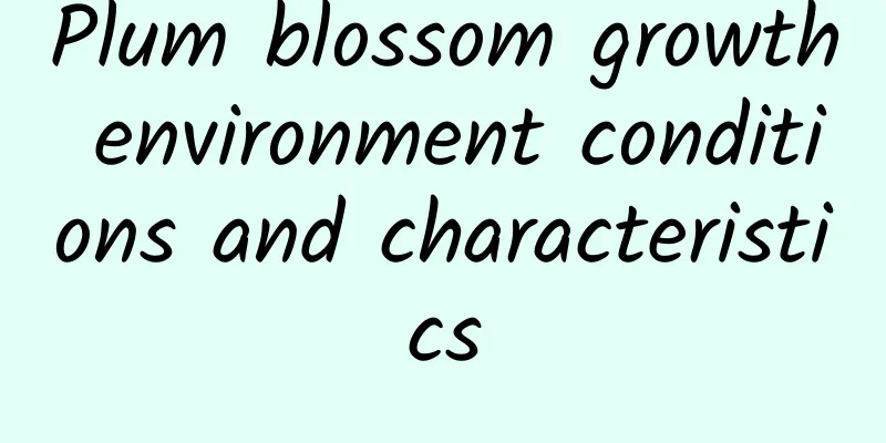 Plum blossom growth environment conditions and characteristics