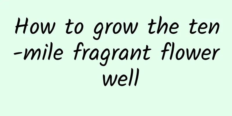 How to grow the ten-mile fragrant flower well