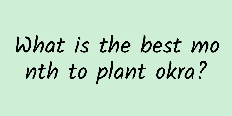 What is the best month to plant okra?
