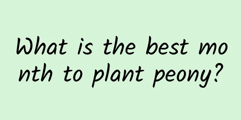 What is the best month to plant peony?