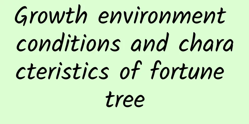 Growth environment conditions and characteristics of fortune tree
