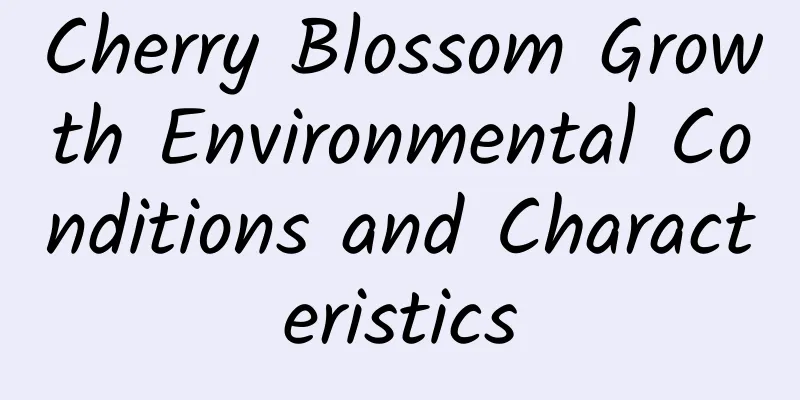 Cherry Blossom Growth Environmental Conditions and Characteristics
