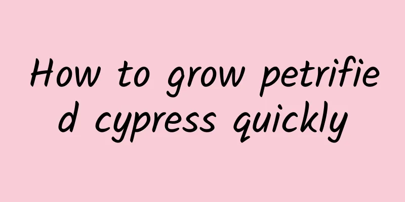How to grow petrified cypress quickly