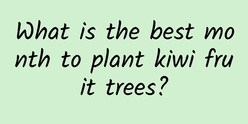 What is the best month to plant kiwi fruit trees?