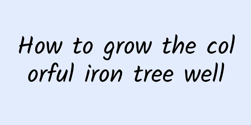How to grow the colorful iron tree well