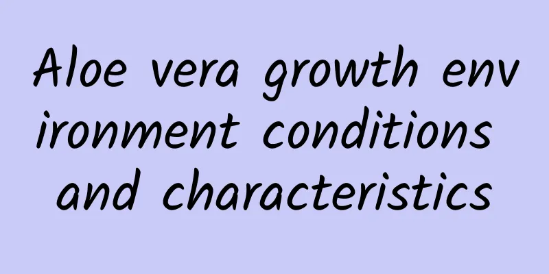 Aloe vera growth environment conditions and characteristics