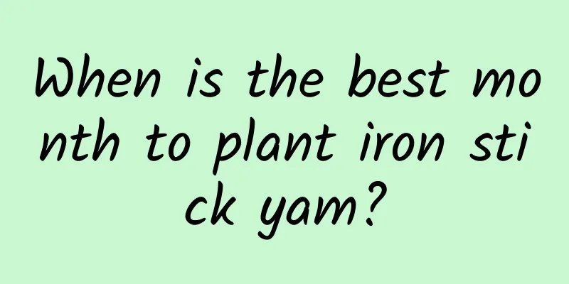 When is the best month to plant iron stick yam?