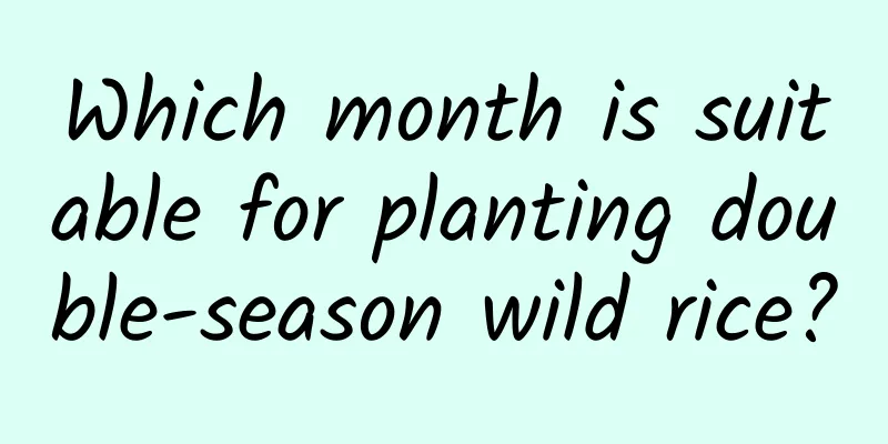 Which month is suitable for planting double-season wild rice?