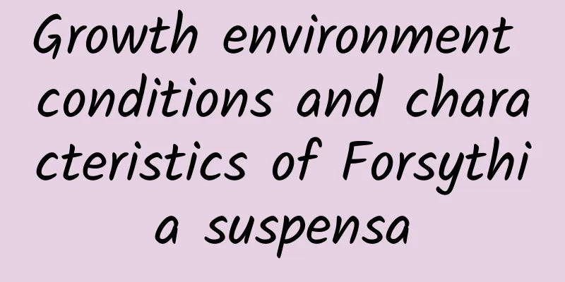 Growth environment conditions and characteristics of Forsythia suspensa