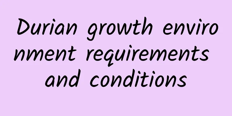 Durian growth environment requirements and conditions