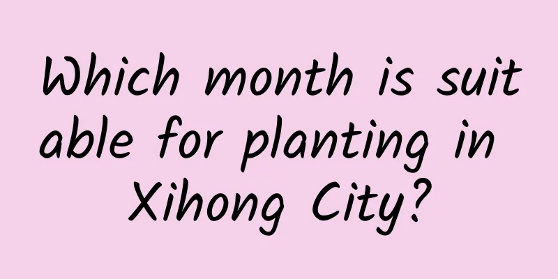 Which month is suitable for planting in Xihong City?