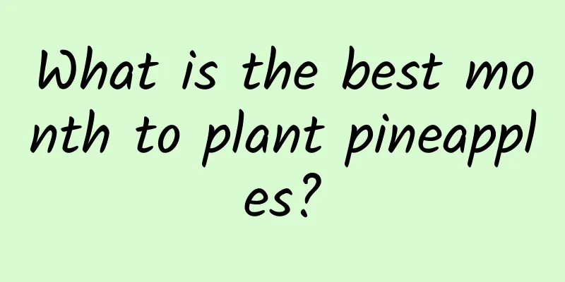 What is the best month to plant pineapples?