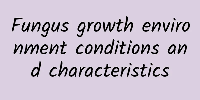 Fungus growth environment conditions and characteristics