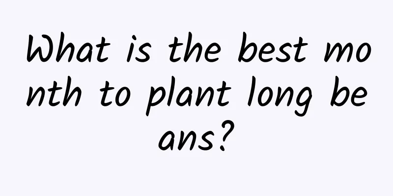 What is the best month to plant long beans?