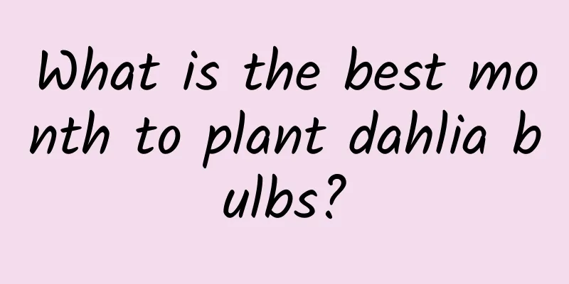 What is the best month to plant dahlia bulbs?