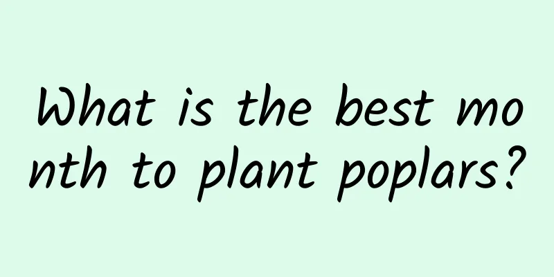 What is the best month to plant poplars?