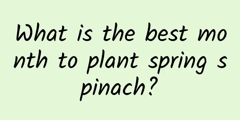 What is the best month to plant spring spinach?