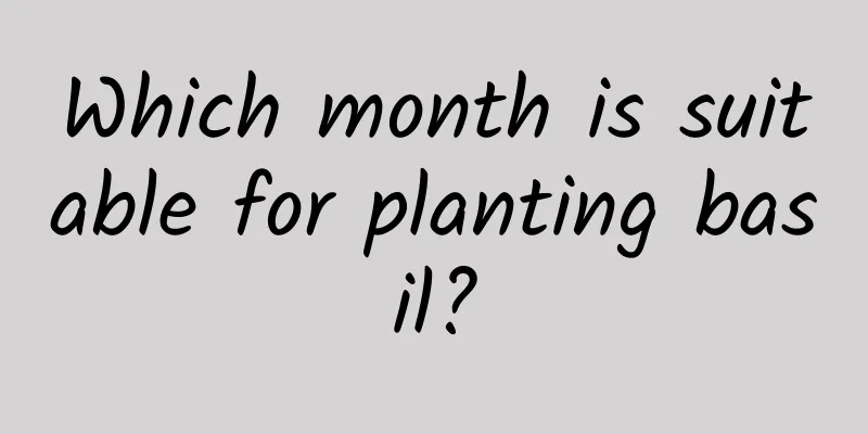 Which month is suitable for planting basil?