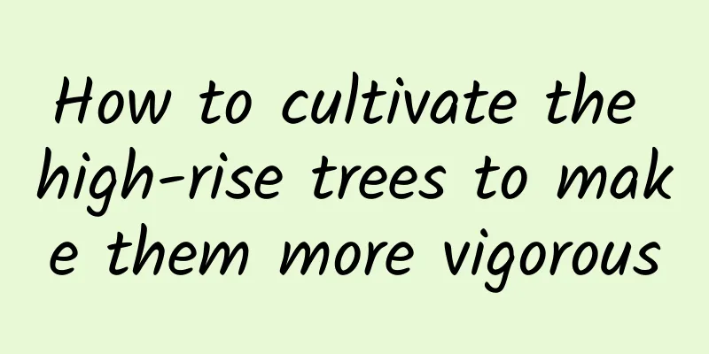 How to cultivate the high-rise trees to make them more vigorous