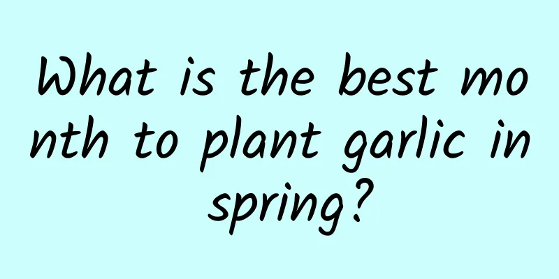 What is the best month to plant garlic in spring?