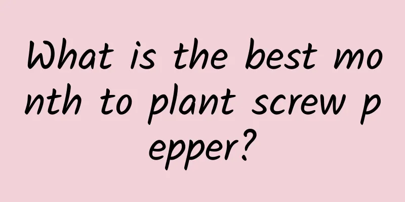 What is the best month to plant screw pepper?
