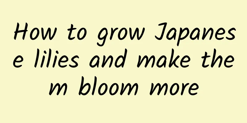 How to grow Japanese lilies and make them bloom more