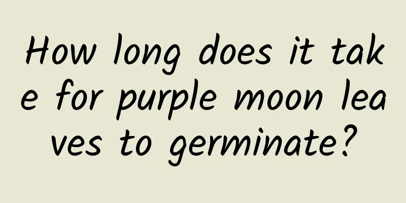 How long does it take for purple moon leaves to germinate?