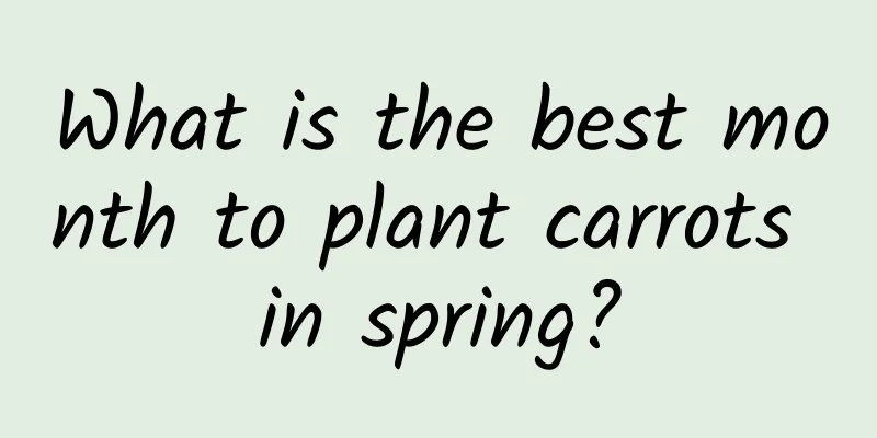 What is the best month to plant carrots in spring?