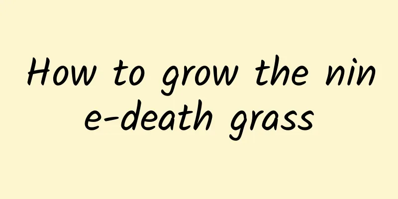 How to grow the nine-death grass