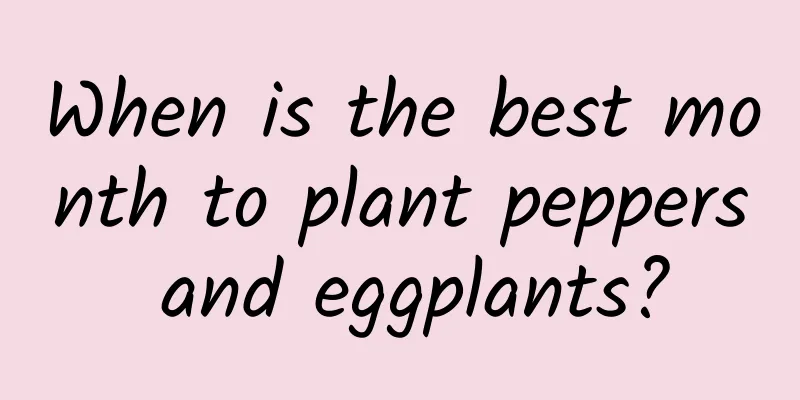 When is the best month to plant peppers and eggplants?