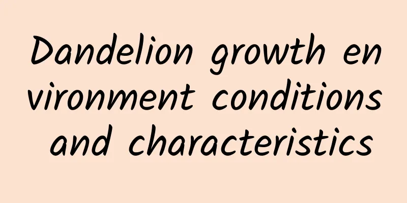 Dandelion growth environment conditions and characteristics