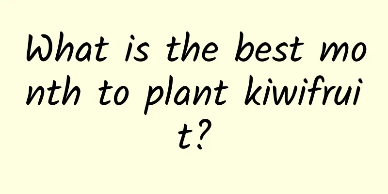 What is the best month to plant kiwifruit?