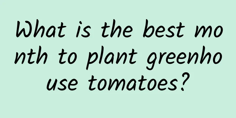 What is the best month to plant greenhouse tomatoes?