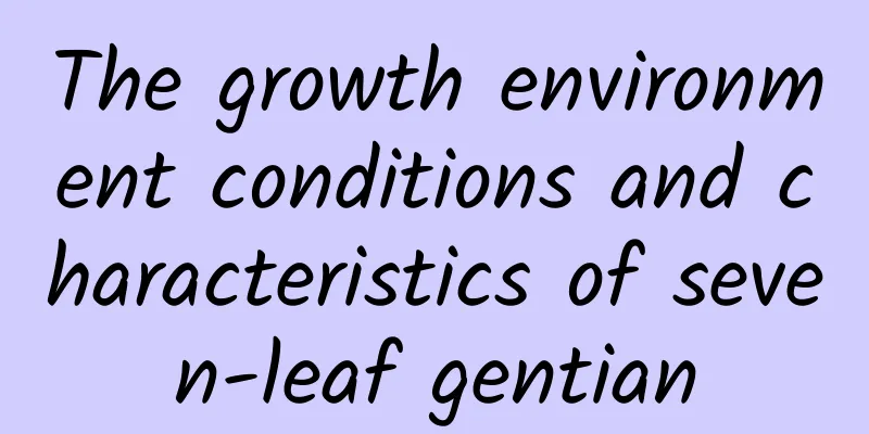 The growth environment conditions and characteristics of seven-leaf gentian
